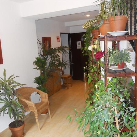 Hostal El Descanso Madrid Bagian luar foto