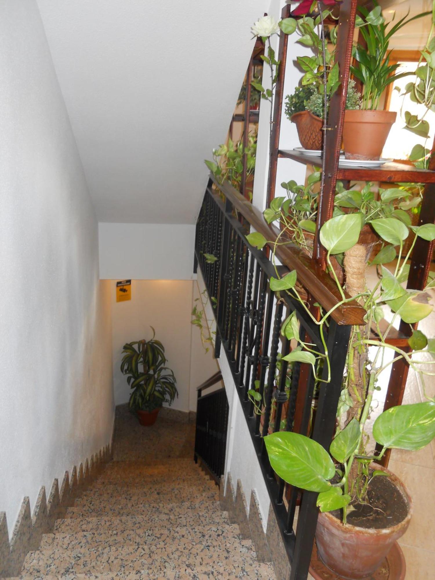 Hostal El Descanso Madrid Bagian luar foto
